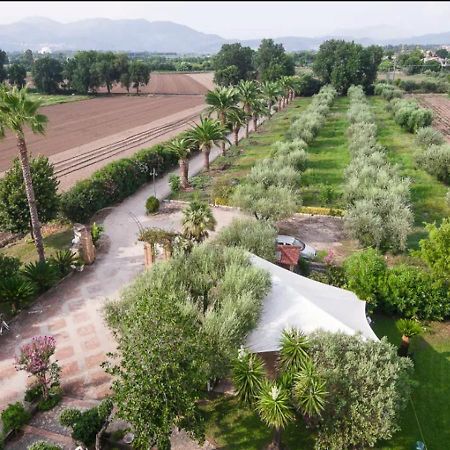 Villa Rosa Lifestyle B&B เซสซาอูรุนกา ภายนอก รูปภาพ