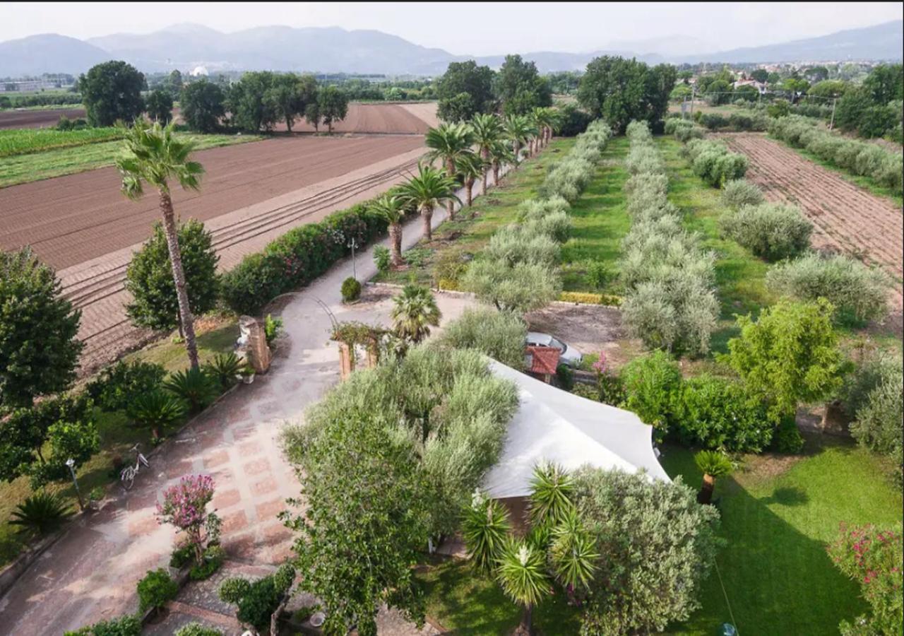 Villa Rosa Lifestyle B&B เซสซาอูรุนกา ภายนอก รูปภาพ